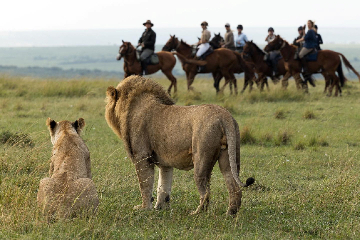 Ausritt mit L�wen Sosian Lodge 