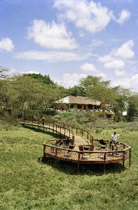 Der Tierbeobachtungssteg - the viewing platform