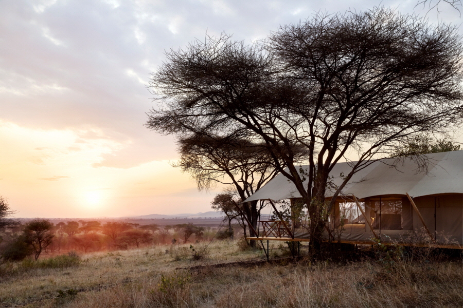 Laba Out of Africa Serengeti