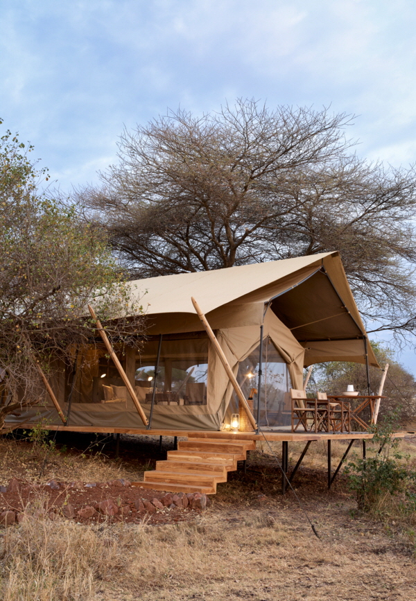 SerengetiExplorer Out of Africa 