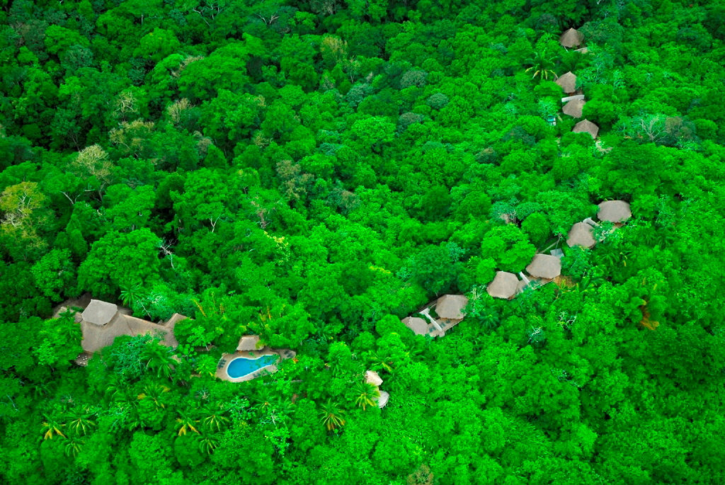 Lapa Rios Osa Costa Rica