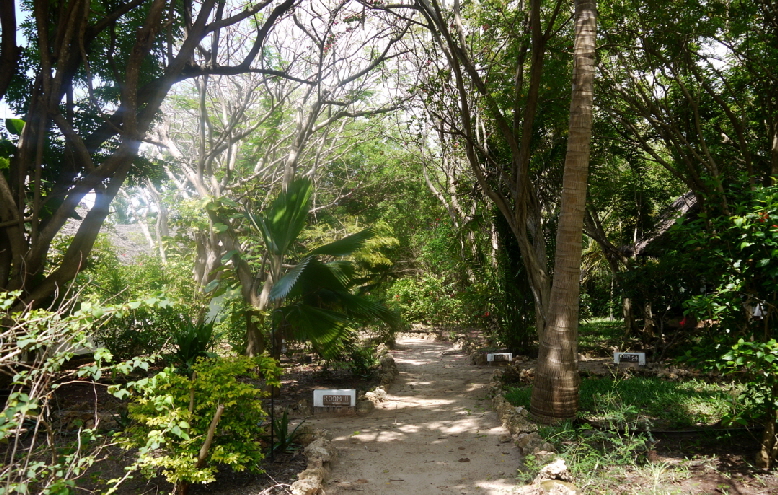 Sansibar kleine Strandhotels