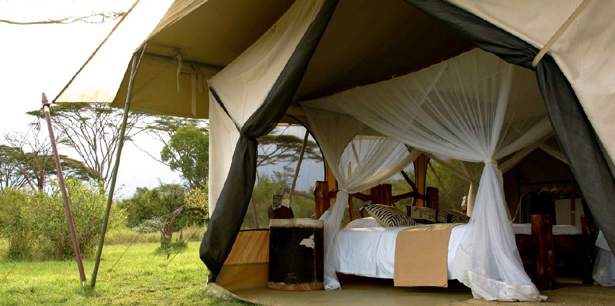 Saruni Wild Masai Mara 