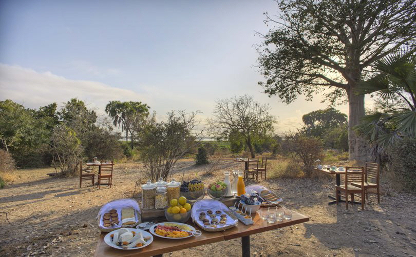 Nyerere Nationalpark  Fr�hst�ck im Busch