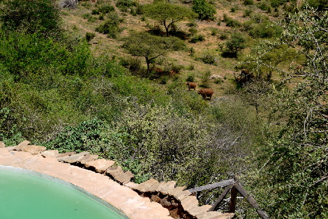 Tassia-kenia-lodge