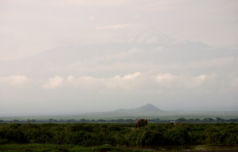 Amboseli der Kilimandjaro