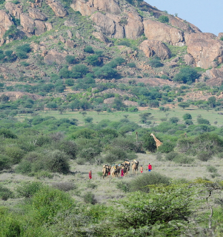 Wandersafaris- kenia-karisia-tumaren Wandersafaris- kenia-karisia-tumaren