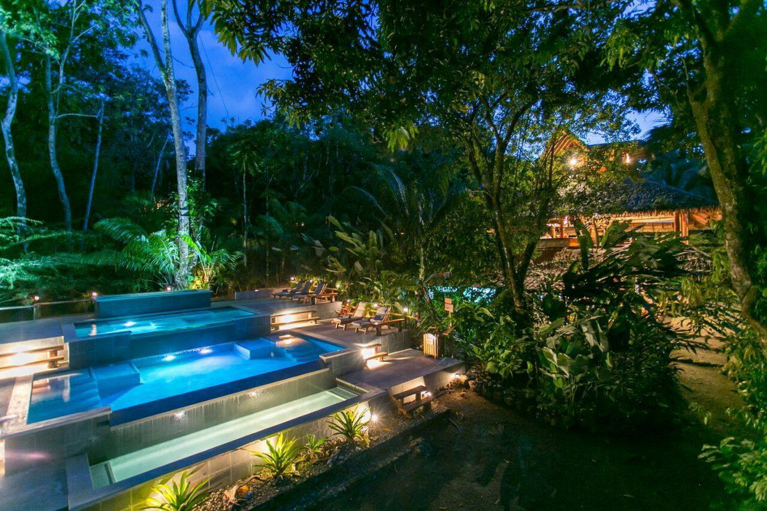 Copa de Arbol Drake bay Corcovado Nationalpark