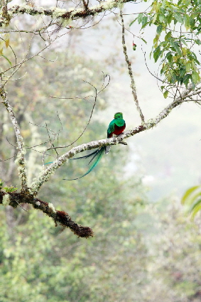 costa-rica-suntours-Costa RIca REISEN 