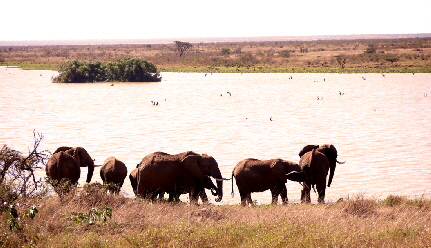 ekorians-mugie-kenia_0027