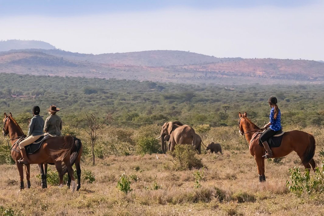 El Karama Reitsafari