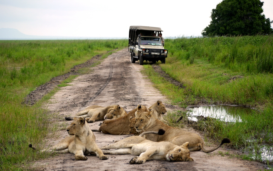 Katavi Nationalpark Tansania