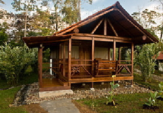 laanitarainfporest_0002