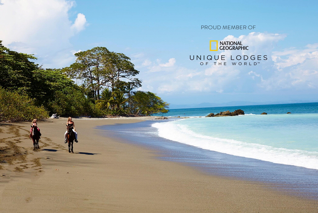 Lapa Rios Osa Costa Rica