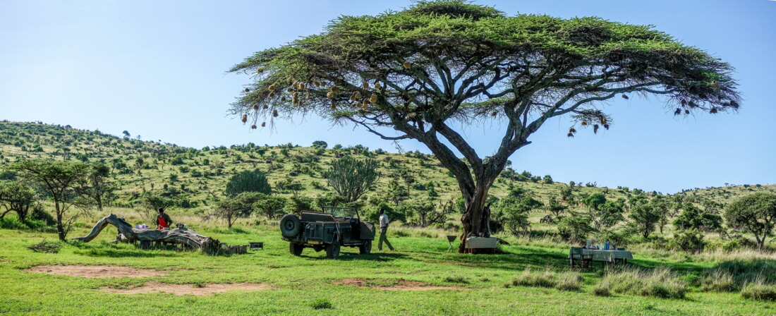 Sirikoi  Lewa Downs  Buschfr�hst�ck