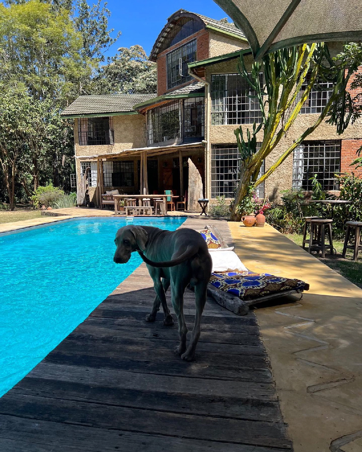 Meru House Lekilisai 