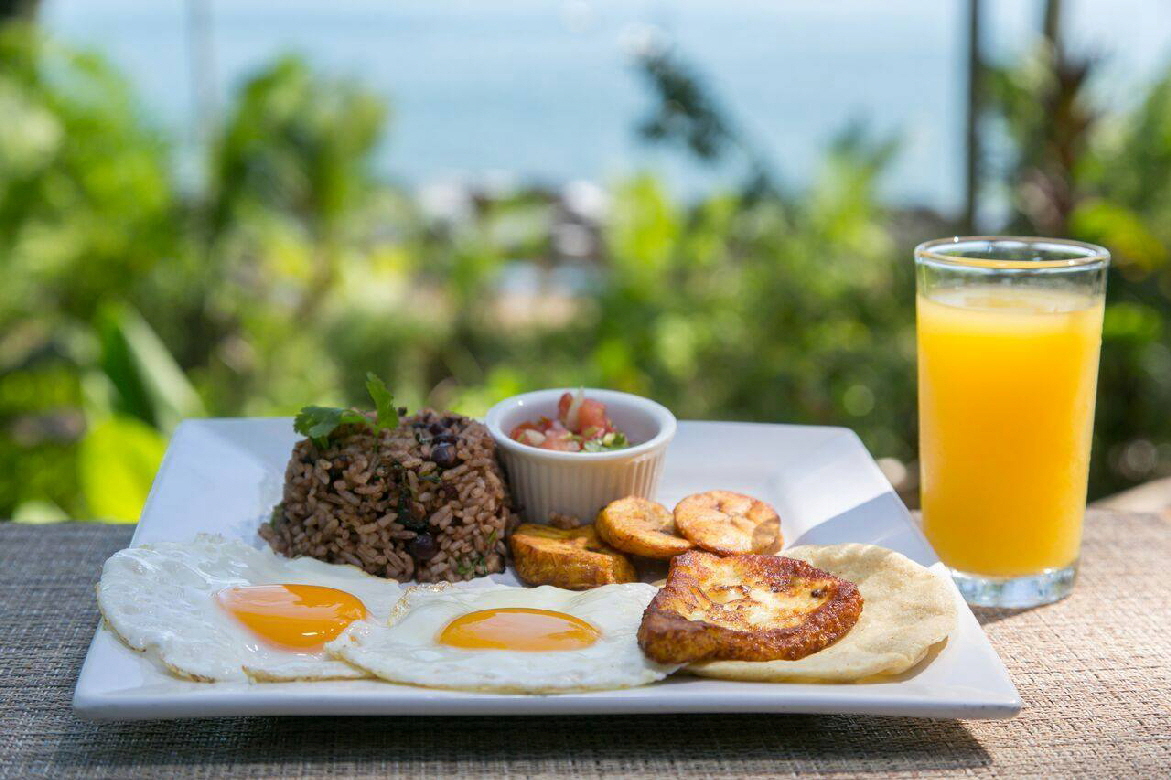 Osa Halbinsel  Copa de Arbol Fr�hst�ck auf Tico Art 