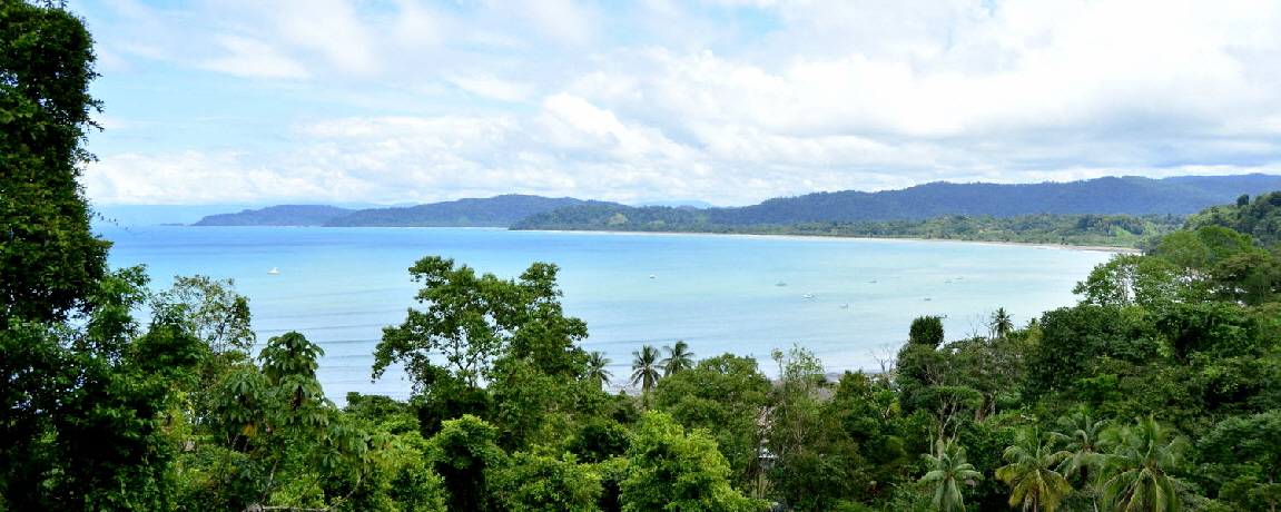 Copa de Arbol  Blick auf  die Drake Bay