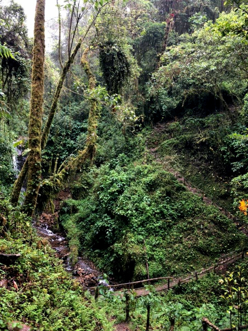 Paraiso Quetzal Lodge