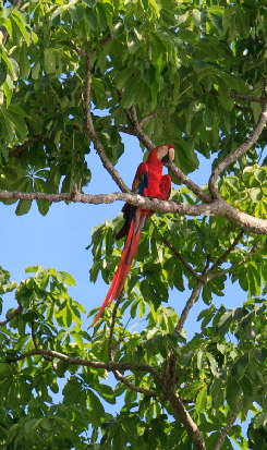 reisebericht-costarica_0007