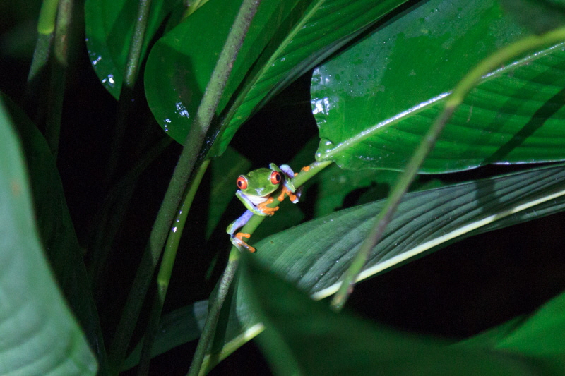 Drake Bay Corcovado Nationalpark