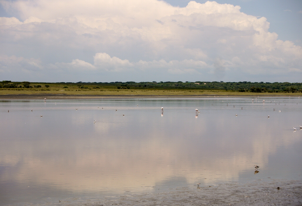 Laba Migration Camp Serengeti Ndutusee