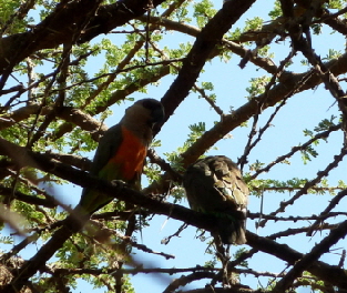 Gruppenreise Kenia buchen