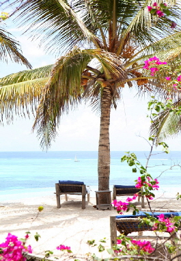 shootingstar sansibar hotel