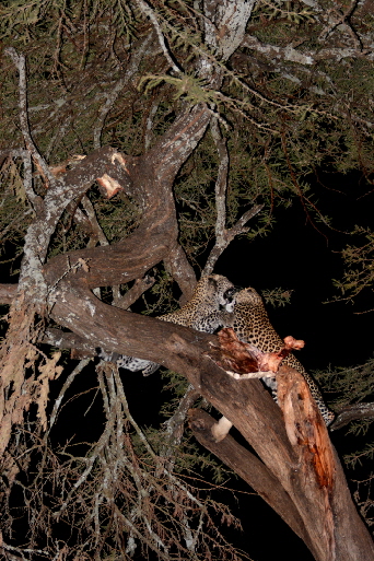 sosian-lodge-kenia_0005 sosian-lodge-kenia_0005