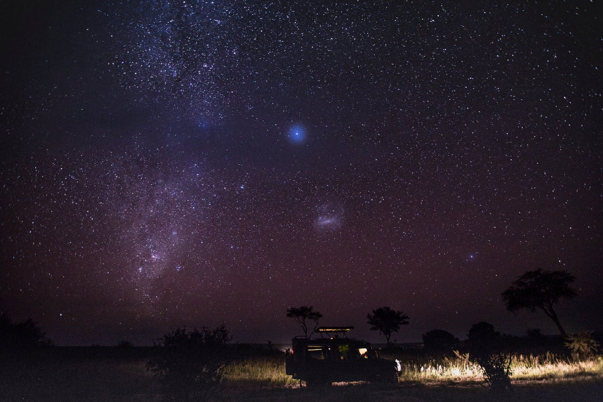 Tarangire Treetops Lodge