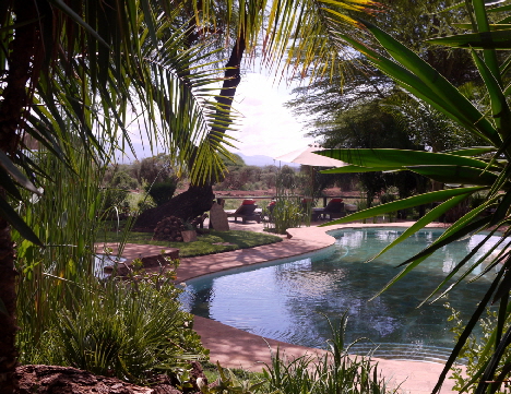 tawi-safarilodge-amboseli-Kenia
